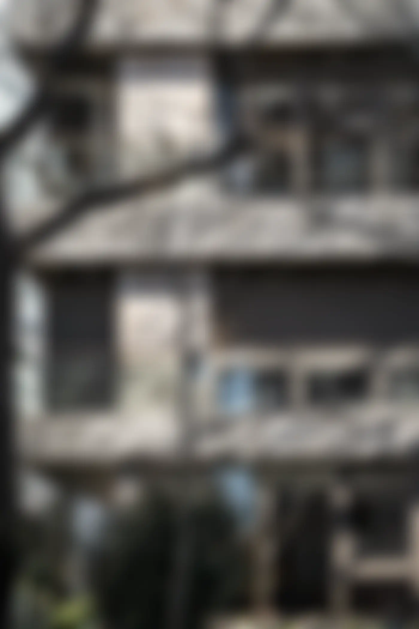Orkide Apartmanı